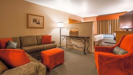 Suite-1 King Bed, Non-Smoking, Executive Room, High Speed Internet Access, Microwave And Refrigerator, Full Breakfast