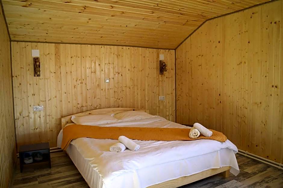 Cabana doi mesteceni