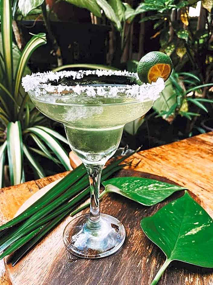 Villa-Atlas Guest House