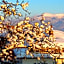 Family Hotel Santo Bansko