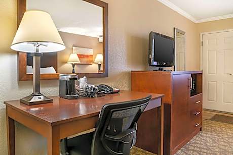 Room with 1 King Bed