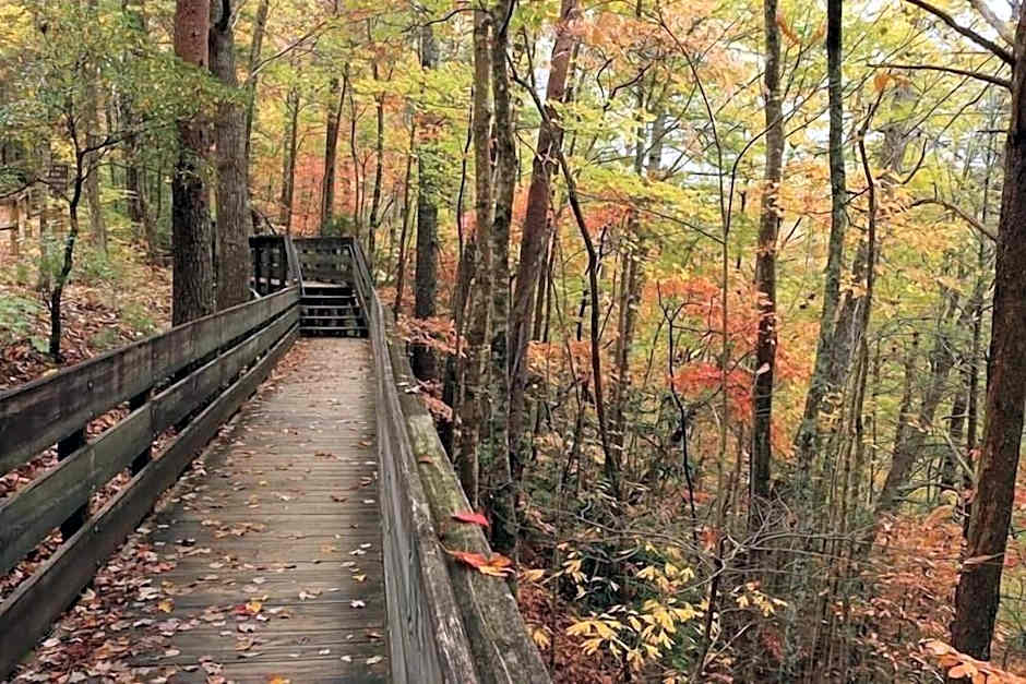 Nacoochee Valley Rentals