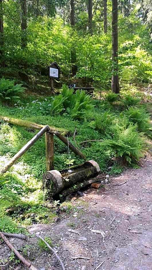 Haus Linde Frauenwald am Rennsteig
