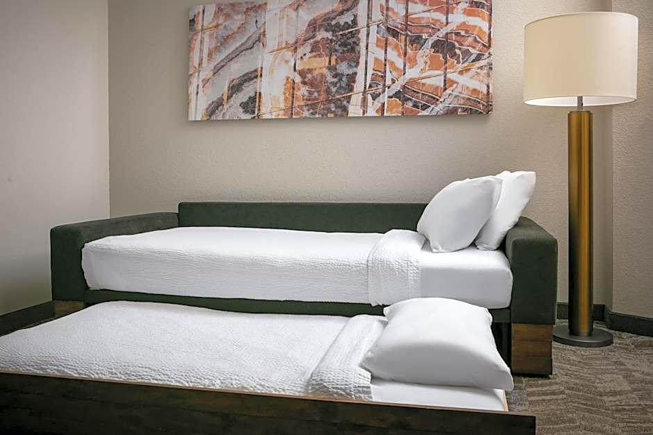 SpringHill Suites by Marriott Cheyenne