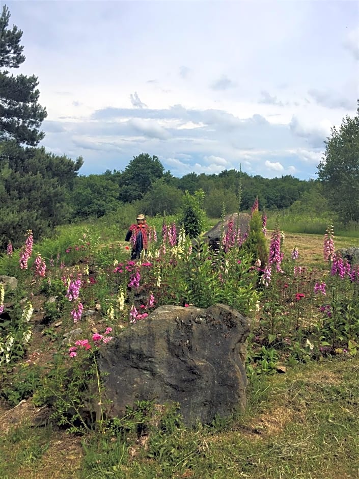 Chambre d’hôte - Ilse's Garden Chair