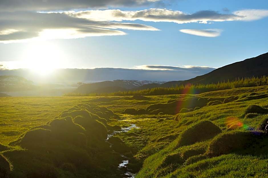 Glacier World - Hoffell Guesthouse