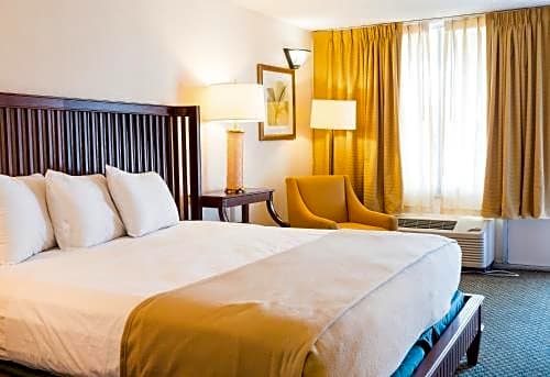 Vista Inn And Suites Tampa