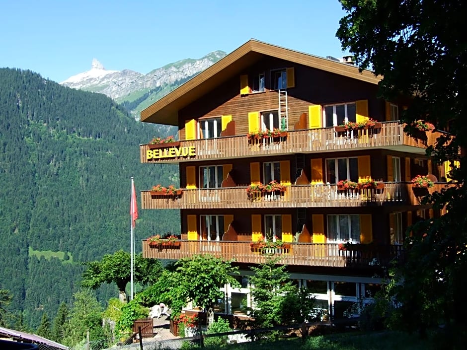 Hotel Bellevue-Wengen - Best view in town!