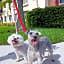 Staybridge Suites Naples - Gulf Coast, an IHG Hotel