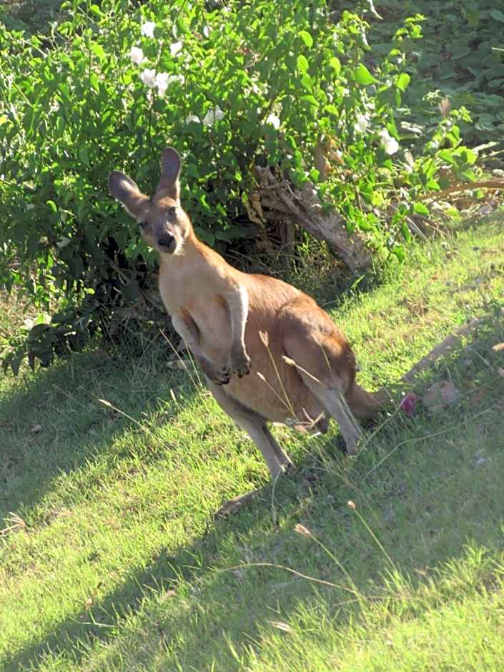 Dampier Mermaid Hotel Karratha