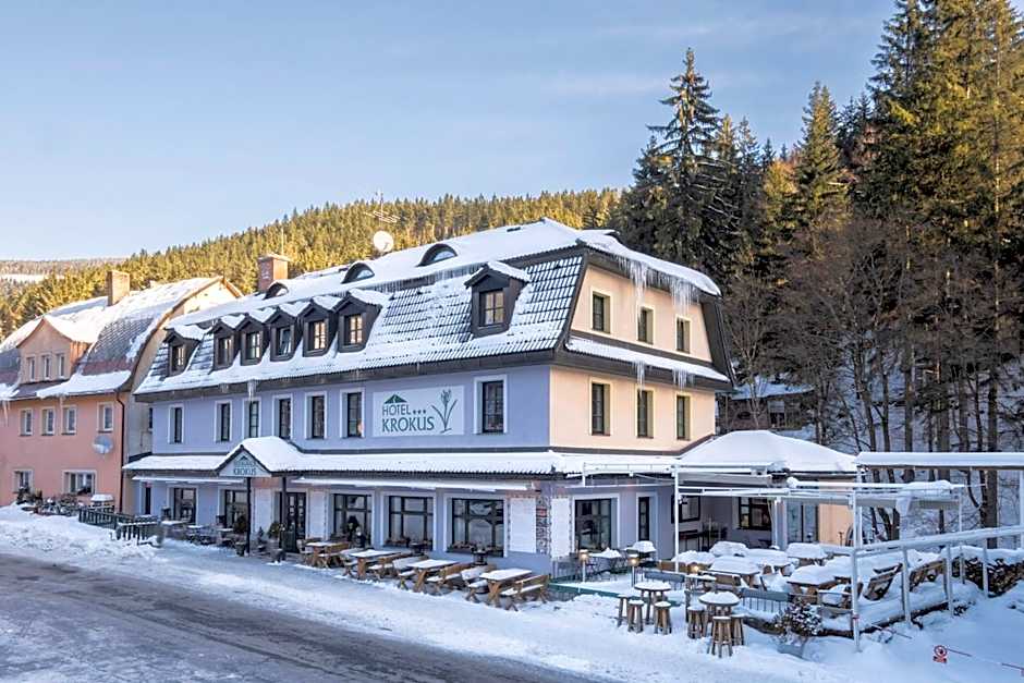 Hotel Krokus