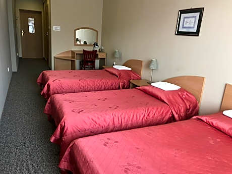 Superior Single Room