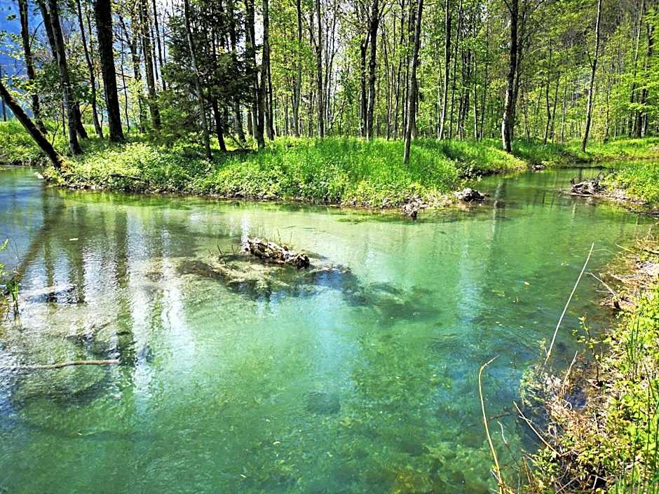 Parkhotel Du Sauvage