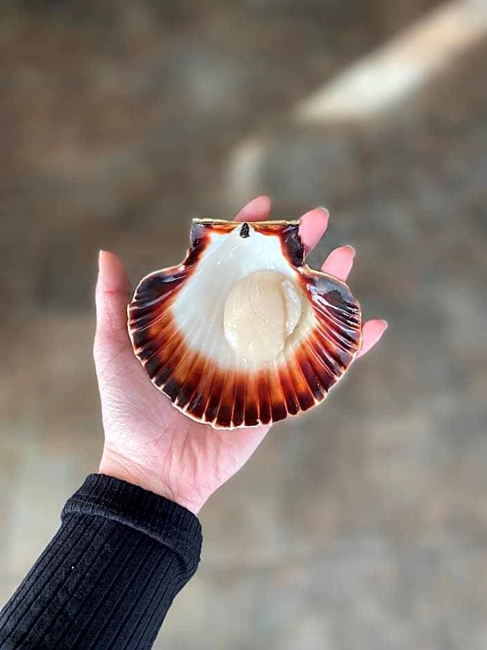 Hotel Restaurant l'Eskemm St Brieuc-Trégueux