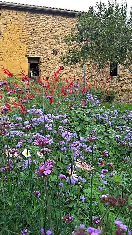 Maison et Jardin Talinou
