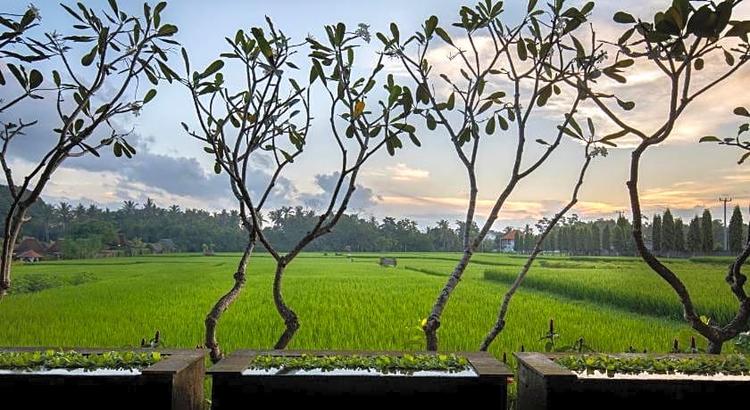 Villa Kayu Lama