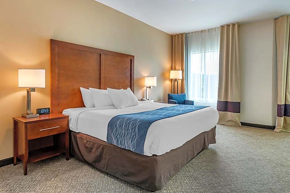 Comfort Inn Apalachin / Binghamton W Route 17