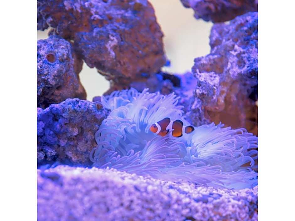 Kanazawa Station Hotel - Vacation STAY 36354v