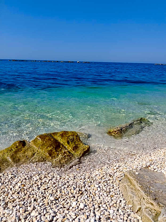 Art Village Residence