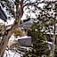 Pure Chalet Thredbo