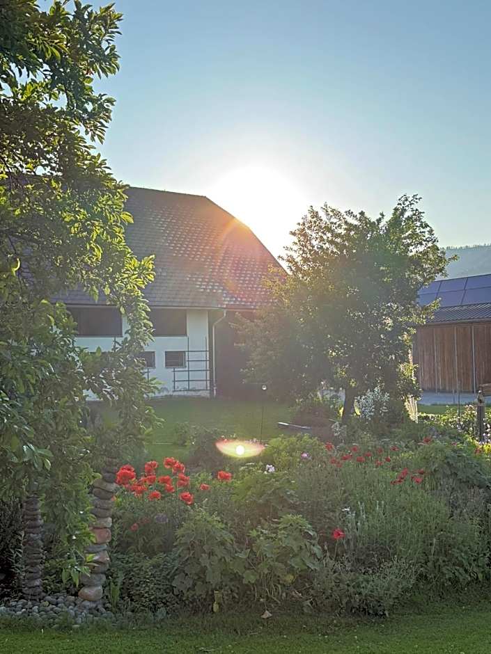 Pension Möslehnerhof