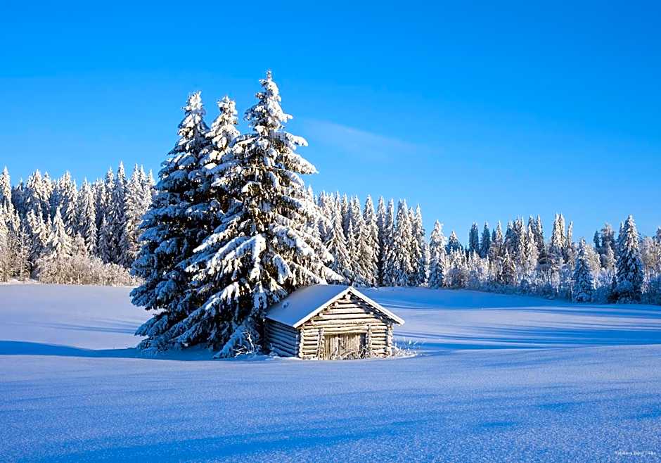 Original Sokos Hotel Koljonvirta