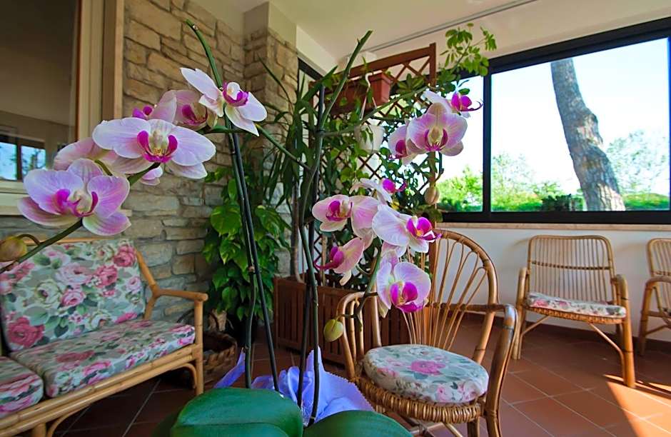 Hotel Versilia