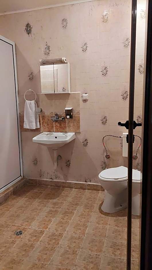 Комплекс Плавис