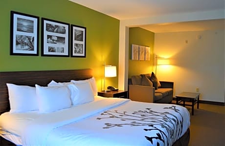 1 King Bed  Suite  No Smoking  Accessible Room