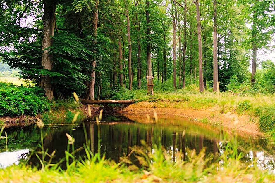 Le Domaine de Bra