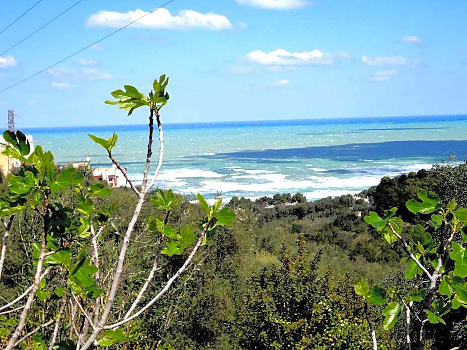 Residenza Piccolo Uliveto