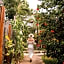Petit Lafitte Beach Front Hotel & Bungalows