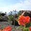 B&B Villa Maristella