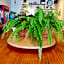 Kenting Cozy B&B