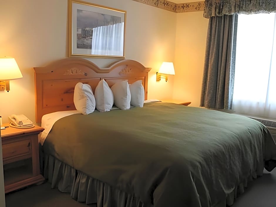 Country Inn & Suites by Radisson, Dundee, MI