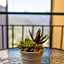 Albergo La Veranda