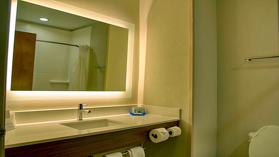 Holiday Inn Express Hotel & Suites Byram By IHG