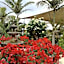McLaren Vale Motel & Apartments