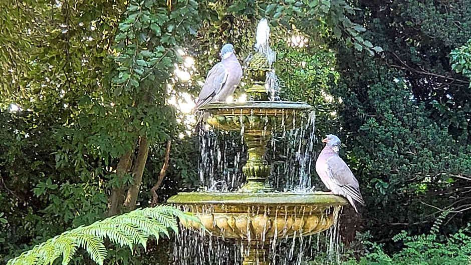 Ravenscroft B&B