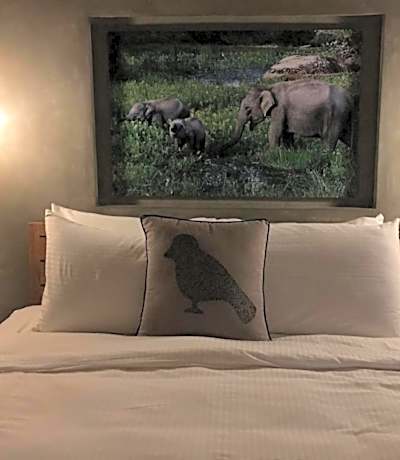 Studio with Pool View