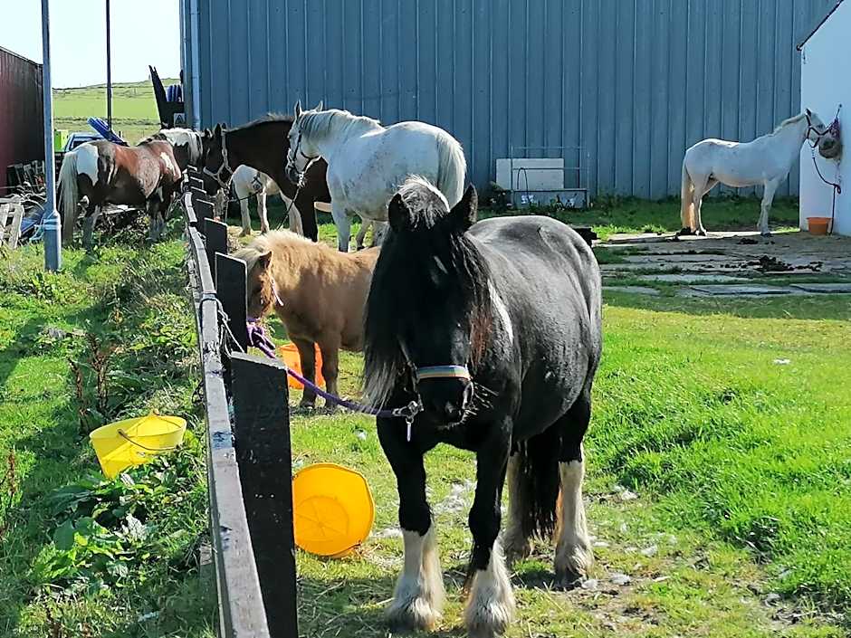 The Fisherman's Snug self catering North Uist