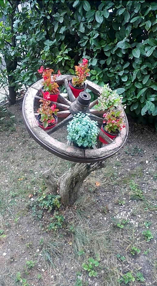 B&B Il Cedro