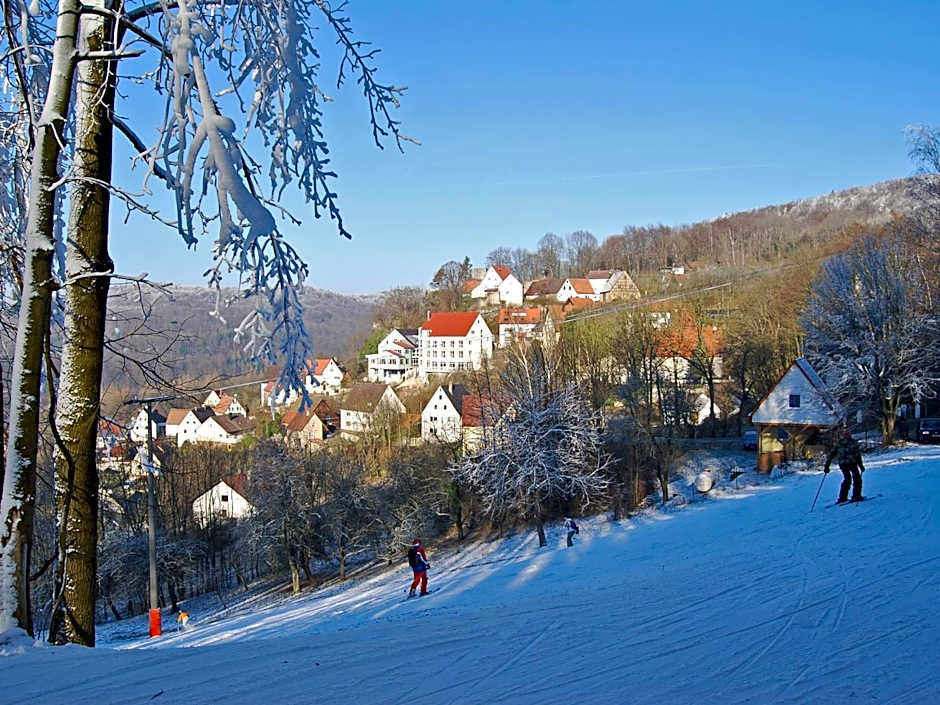 Berggasthof Hotel Igelwirt