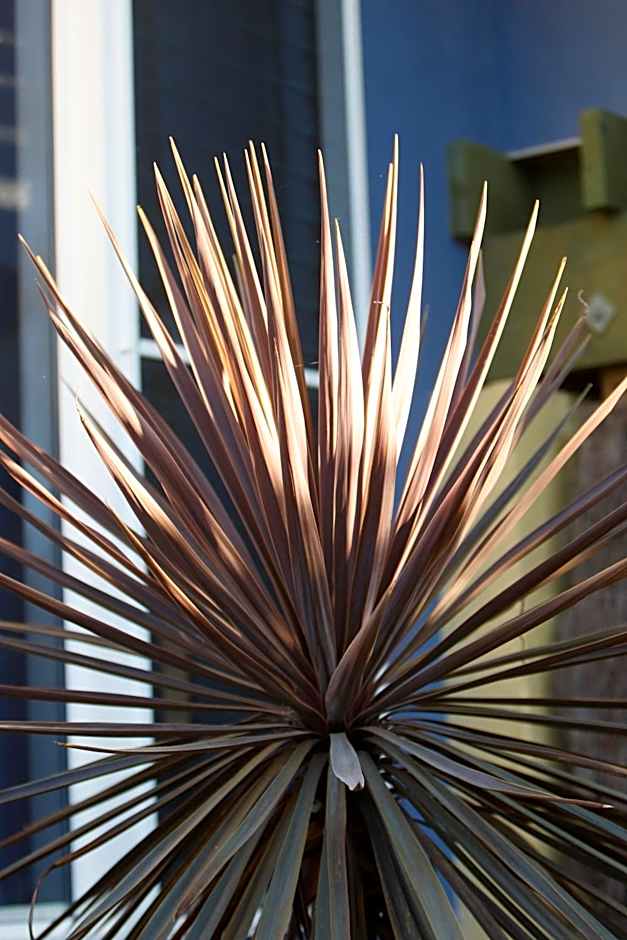 Tathra Beach House Holiday Apartments