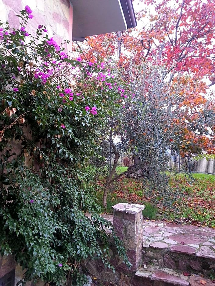 Gli Aceri B&B