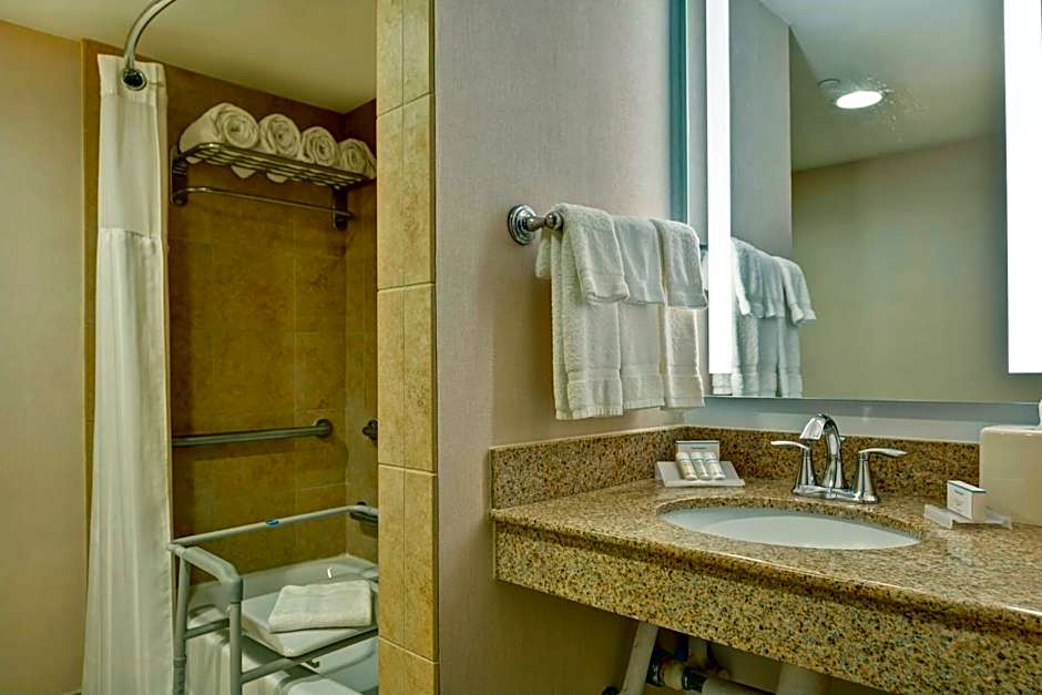 Hilton Garden Inn Orlando Lake Buena Vista