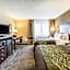 Comfort Inn Detroit Downtown