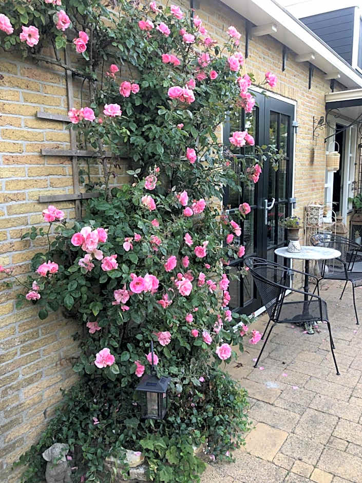 The Rose
