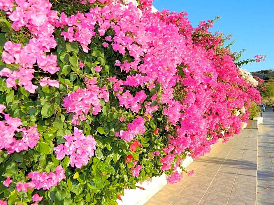 Telhinis Hotel & Apartments