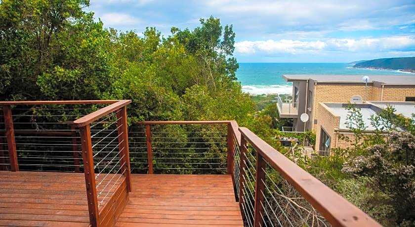 Forest Hill Wilderness